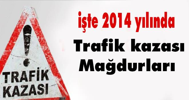 Palandöken: `2014`te 3 bin 524 vatandaşımızı trafik kazalarında kaybettik`