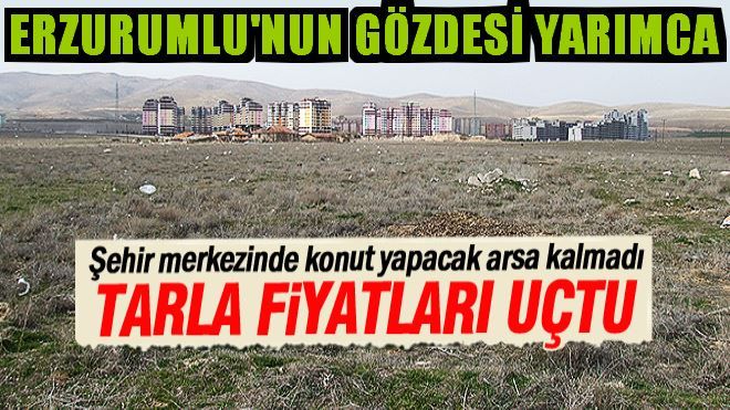 Erzurum şehir merkezinde arsa fiyatları artınca yatırımcı tarlaya koştu.