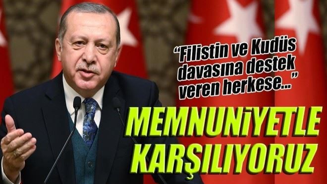 Cumhurbaşkanı Erdoğan BM kararını değerlendirdi