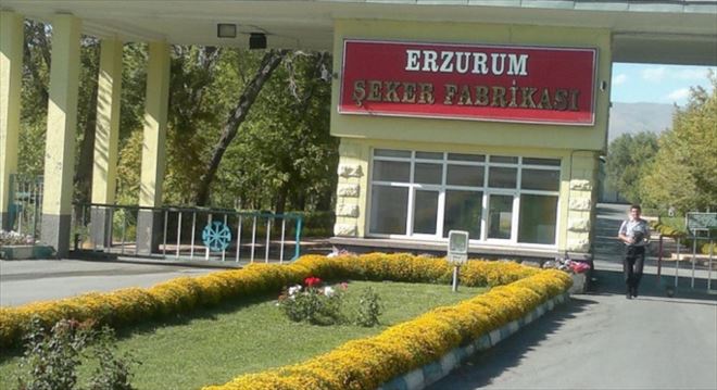 Erzurum ve Erzincan Şeker Fabrikalarını Albayrak Grubu aldı