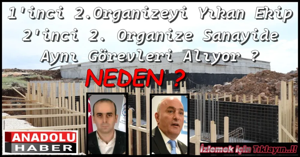 2. Organize 