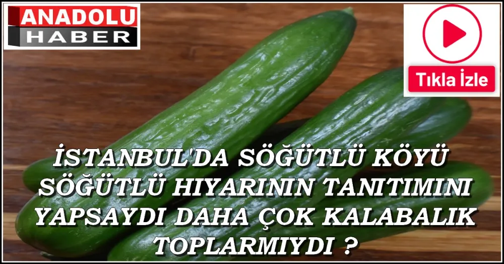 SÖĞÜTLÜ 