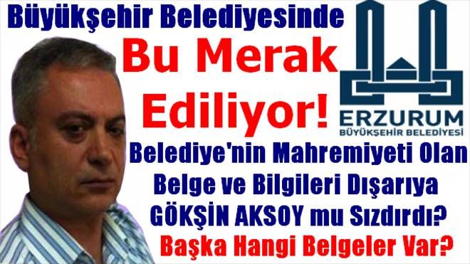 Gökşin Aksoy mu Belgeleri Dışarıya Sızdırıyor?