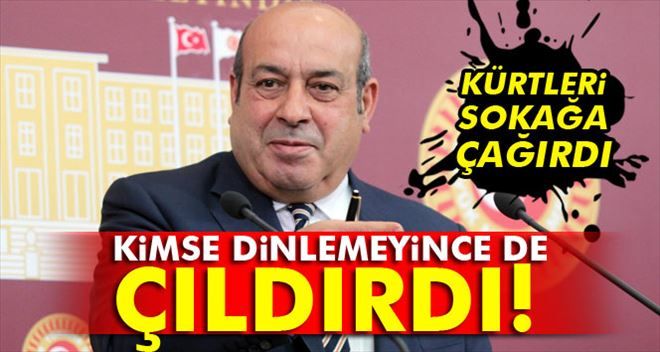 Hasip Kaplan, Kürt vatandaşlara hakaret etti