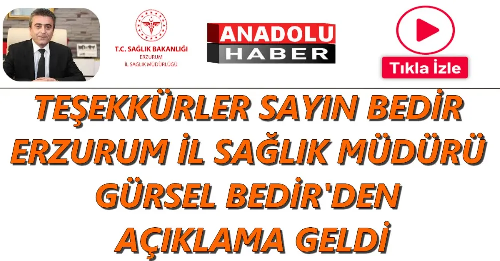 GÜRSEL BEDİR 