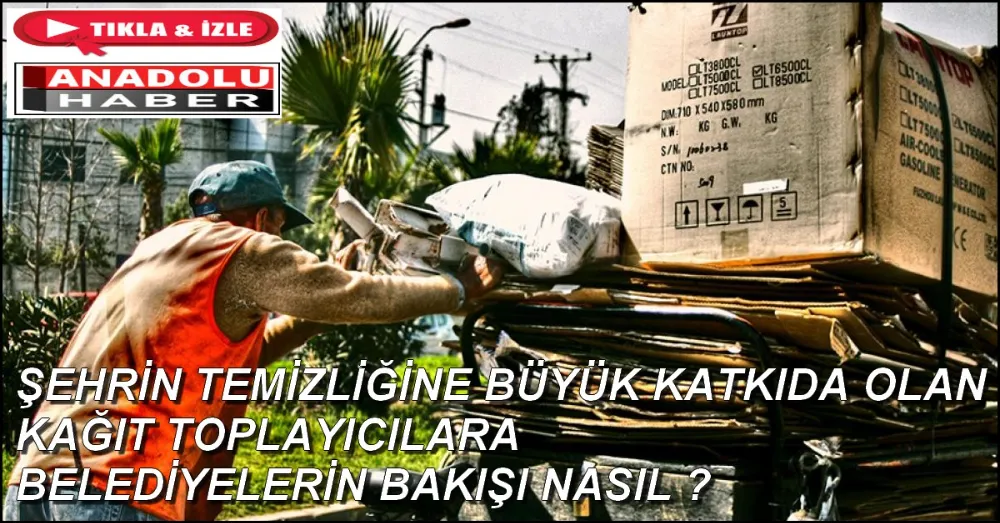 ERZURUMDA KAĞIT TOPLAYICI