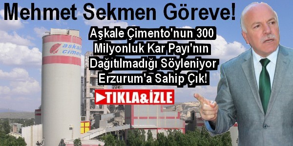 Mehmet Sekmen Göreve
